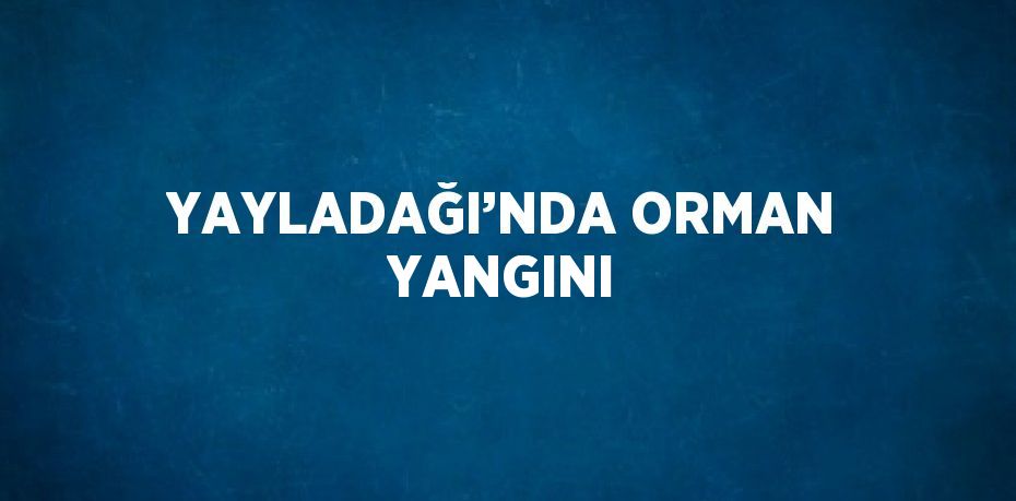 YAYLADAĞI’NDA ORMAN YANGINI