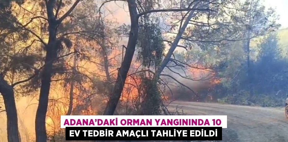 ADANA’DAKİ ORMAN YANGININDA 10 EV TEDBİR AMAÇLI TAHLİYE EDİLDİ