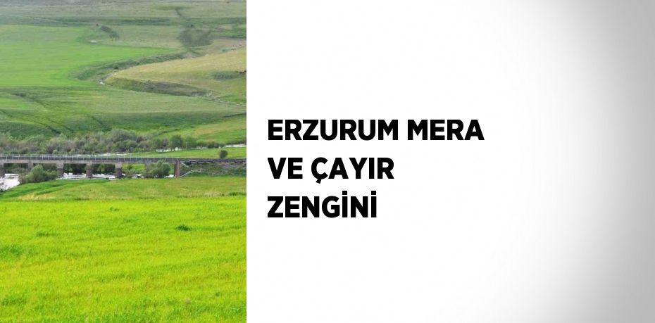 ERZURUM MERA VE ÇAYIR ZENGİNİ