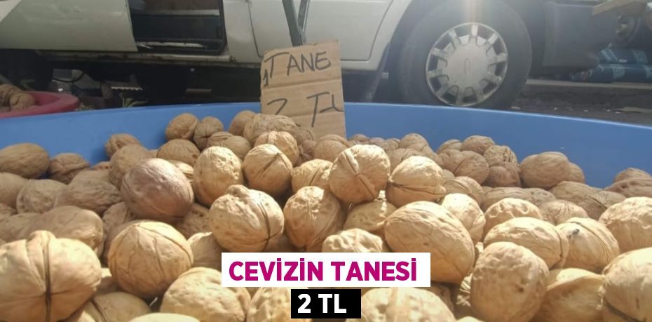 CEVİZİN TANESİ 2 TL