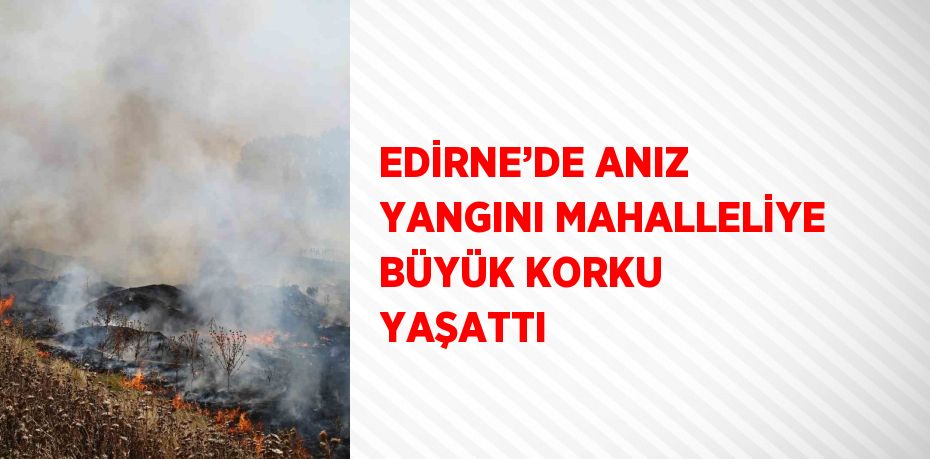 EDİRNE’DE ANIZ YANGINI MAHALLELİYE BÜYÜK KORKU YAŞATTI