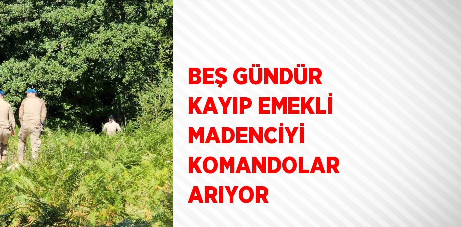 BEŞ GÜNDÜR KAYIP EMEKLİ MADENCİYİ KOMANDOLAR ARIYOR