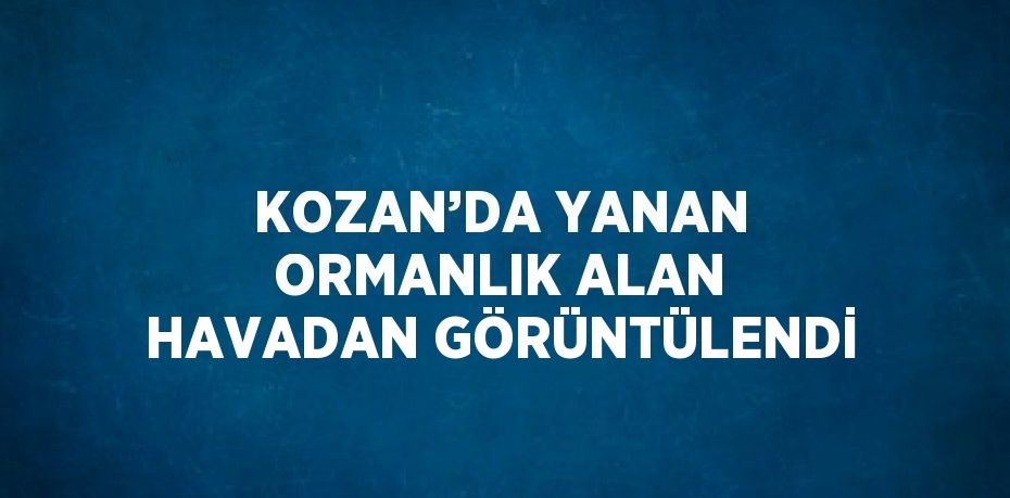 KOZAN’DA YANAN ORMANLIK ALAN HAVADAN GÖRÜNTÜLENDİ