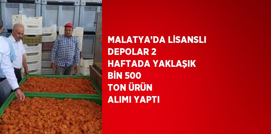 MALATYA’DA LİSANSLI DEPOLAR 2 HAFTADA YAKLAŞIK BİN 500 TON ÜRÜN ALIMI YAPTI