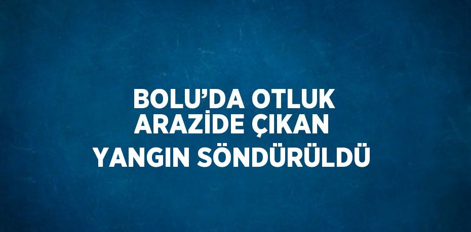 BOLU’DA OTLUK ARAZİDE ÇIKAN YANGIN SÖNDÜRÜLDÜ