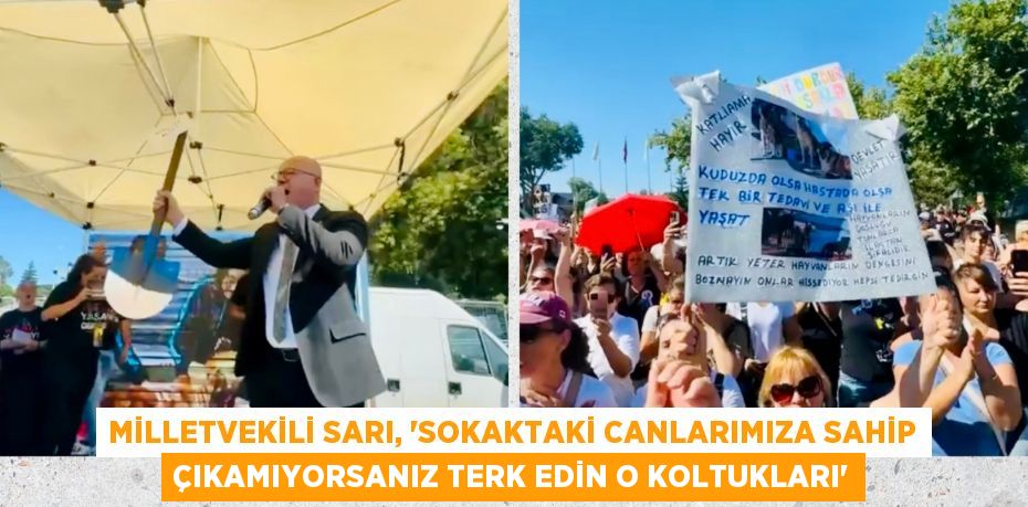 MİLLETVEKİLİ SARI, “SOKAKTAKİ CANLARIMIZA SAHİP ÇIKAMIYORSANIZ TERK EDİN O KOLTUKLARI”