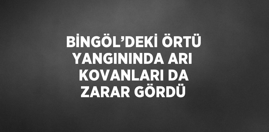 BİNGÖL’DEKİ ÖRTÜ YANGININDA ARI KOVANLARI DA ZARAR GÖRDÜ