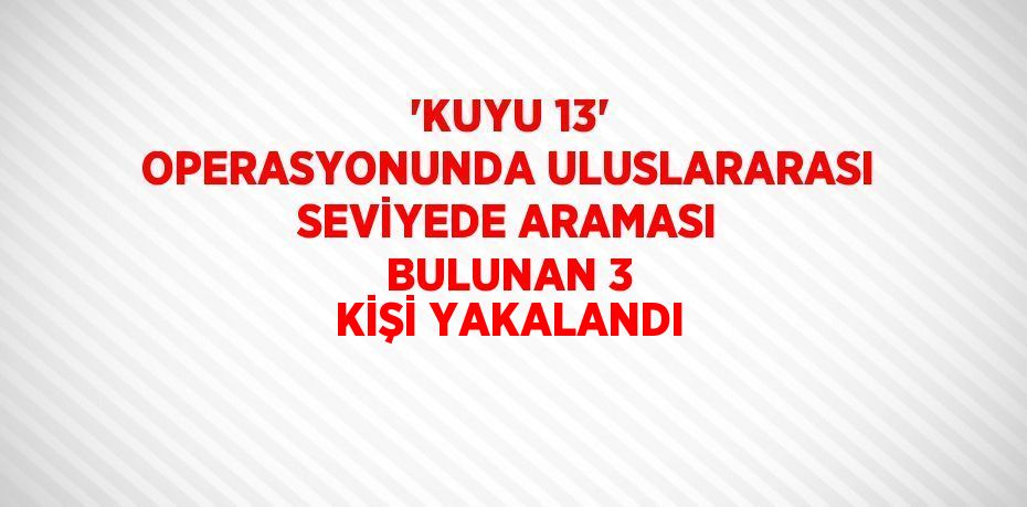 'KUYU 13' OPERASYONUNDA ULUSLARARASI SEVİYEDE ARAMASI BULUNAN 3 KİŞİ YAKALANDI