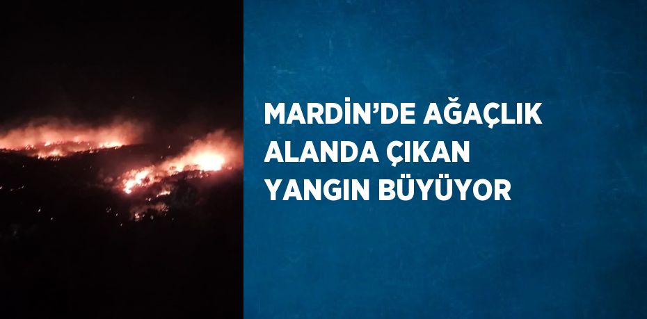 MARDİN’DE AĞAÇLIK ALANDA ÇIKAN YANGIN BÜYÜYOR