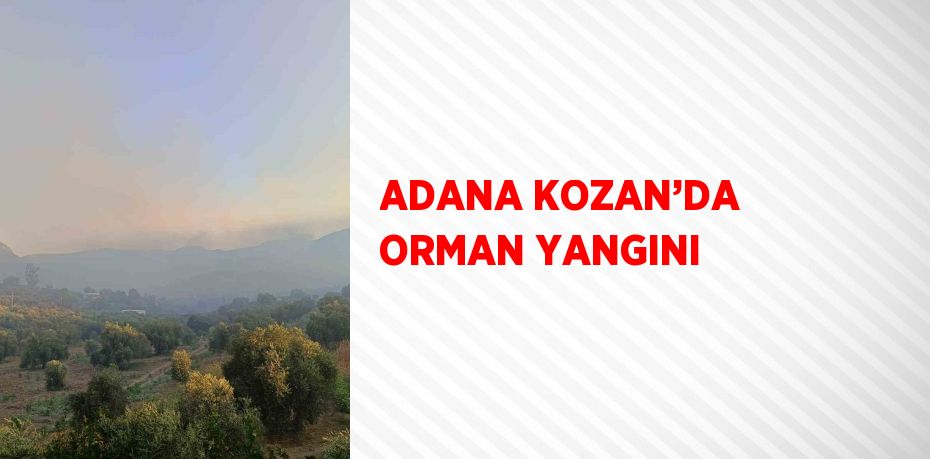 ADANA KOZAN’DA ORMAN YANGINI