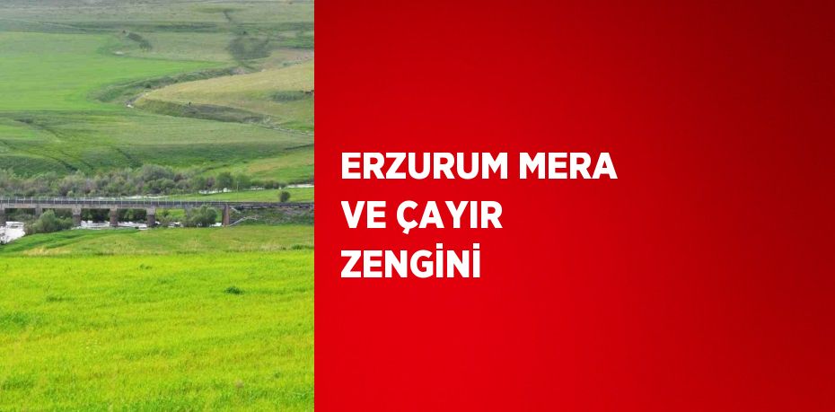 ERZURUM MERA VE ÇAYIR ZENGİNİ