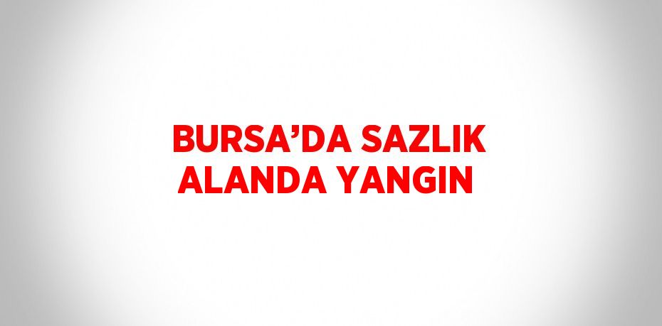 BURSA’DA SAZLIK ALANDA YANGIN