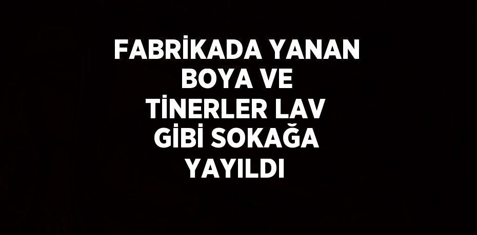 FABRİKADA YANAN BOYA VE TİNERLER LAV GİBİ SOKAĞA YAYILDI