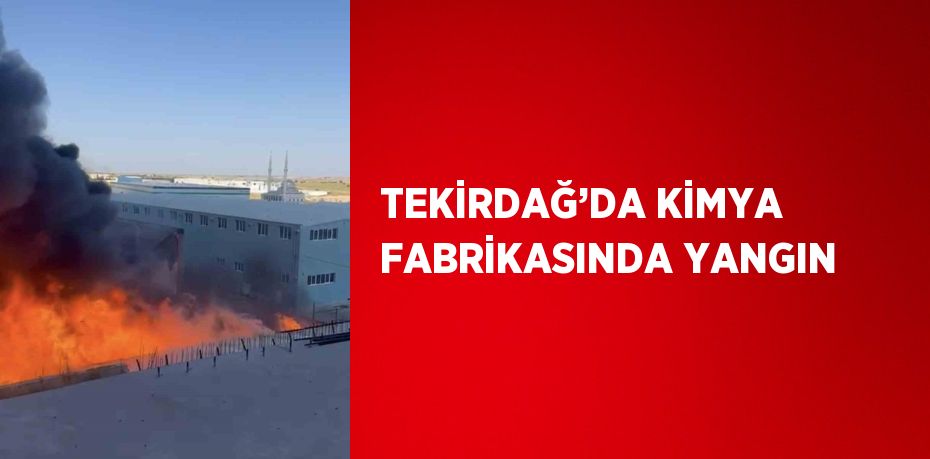 TEKİRDAĞ’DA KİMYA FABRİKASINDA YANGIN