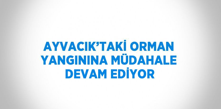 AYVACIK’TAKİ ORMAN YANGININA MÜDAHALE DEVAM EDİYOR