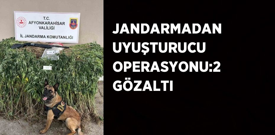 JANDARMADAN UYUŞTURUCU OPERASYONU:2 GÖZALTI