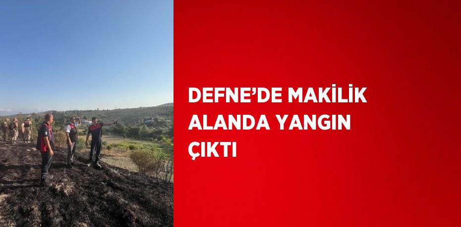 DEFNE’DE MAKİLİK ALANDA YANGIN ÇIKTI