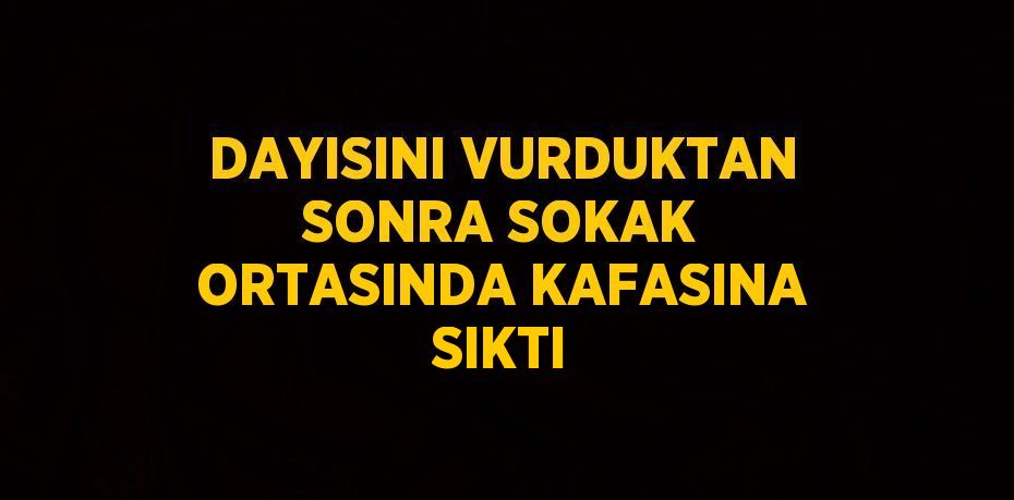 DAYISINI VURDUKTAN SONRA SOKAK ORTASINDA KAFASINA SIKTI