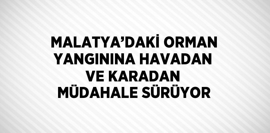 MALATYA’DAKİ ORMAN YANGININA HAVADAN VE KARADAN MÜDAHALE SÜRÜYOR
