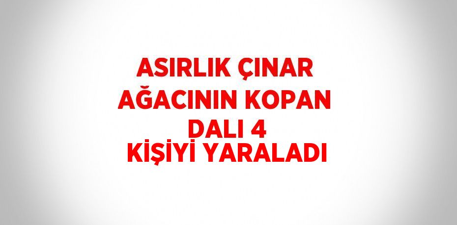 ASIRLIK ÇINAR AĞACININ KOPAN DALI 4 KİŞİYİ YARALADI