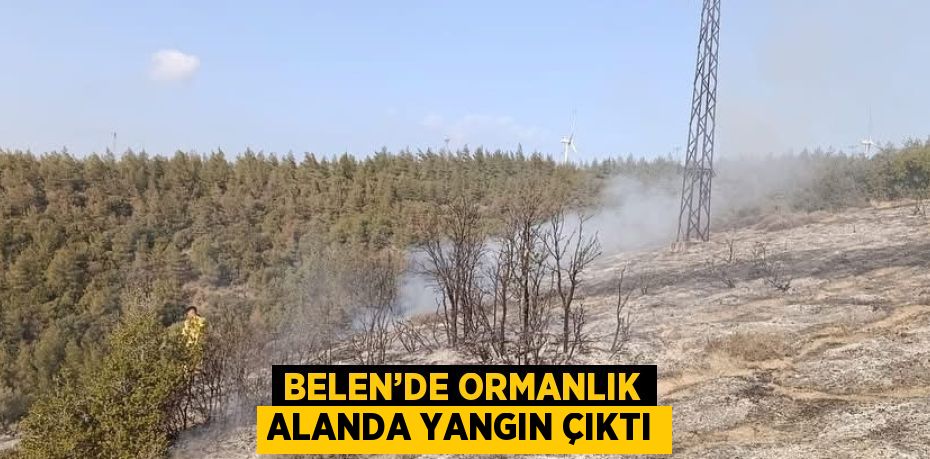 BELEN’DE ORMANLIK ALANDA YANGIN ÇIKTI