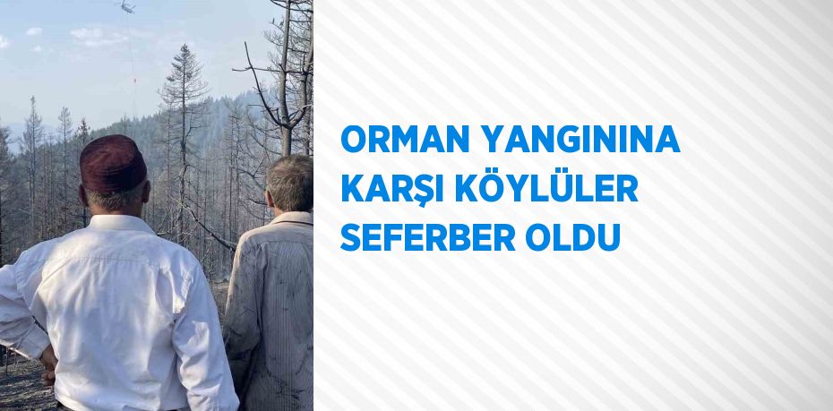 ORMAN YANGININA KARŞI KÖYLÜLER SEFERBER OLDU