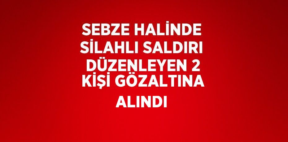 SEBZE HALİNDE SİLAHLI SALDIRI DÜZENLEYEN 2 KİŞİ GÖZALTINA ALINDI