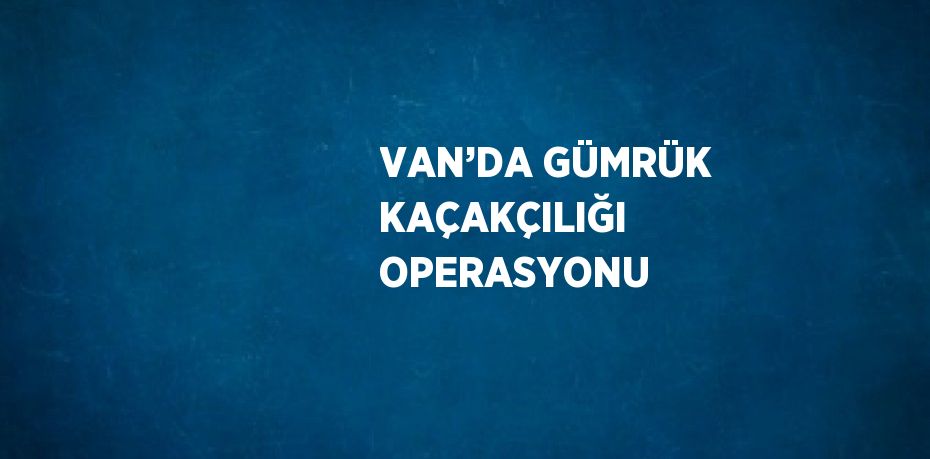 VAN’DA GÜMRÜK KAÇAKÇILIĞI OPERASYONU