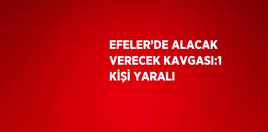 EFELER’DE ALACAK VERECEK KAVGASI:1 KİŞİ YARALI