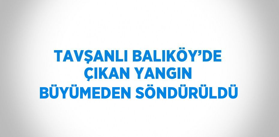 TAVŞANLI BALIKÖY’DE ÇIKAN YANGIN BÜYÜMEDEN SÖNDÜRÜLDÜ