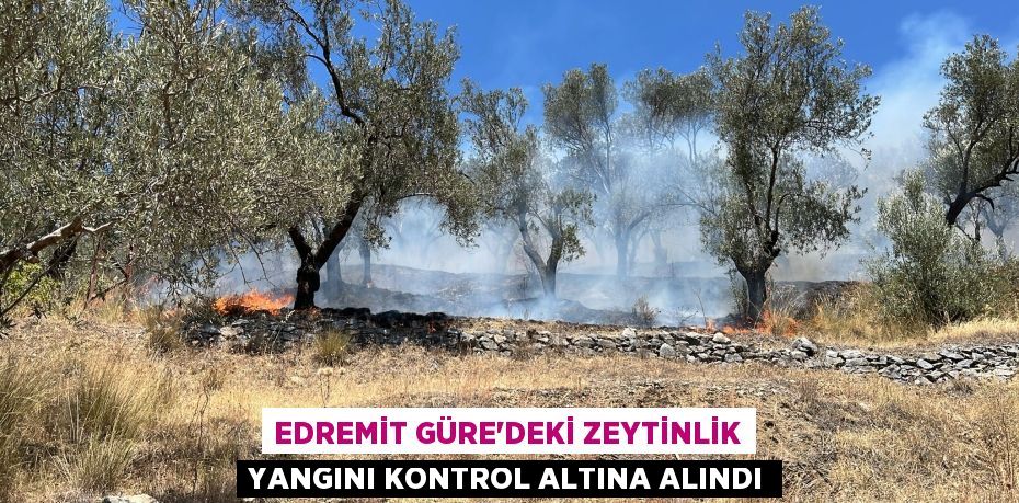 EDREMİT GÜRE'DEKİ ZEYTİNLİK YANGINI KONTROL ALTINA ALINDI