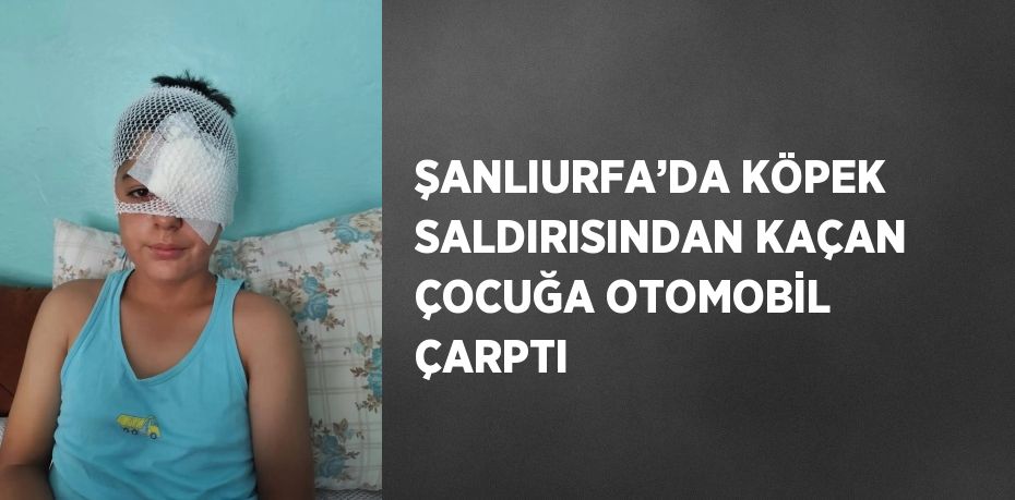 ŞANLIURFA’DA KÖPEK SALDIRISINDAN KAÇAN ÇOCUĞA OTOMOBİL ÇARPTI