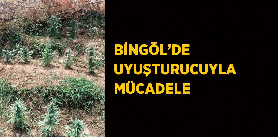 BİNGÖL’DE UYUŞTURUCUYLA MÜCADELE