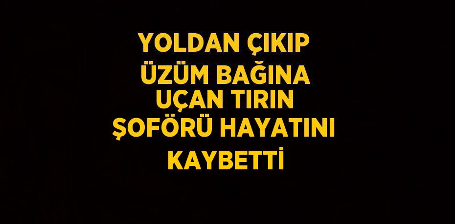 YOLDAN ÇIKIP ÜZÜM BAĞINA UÇAN TIRIN ŞOFÖRÜ HAYATINI KAYBETTİ