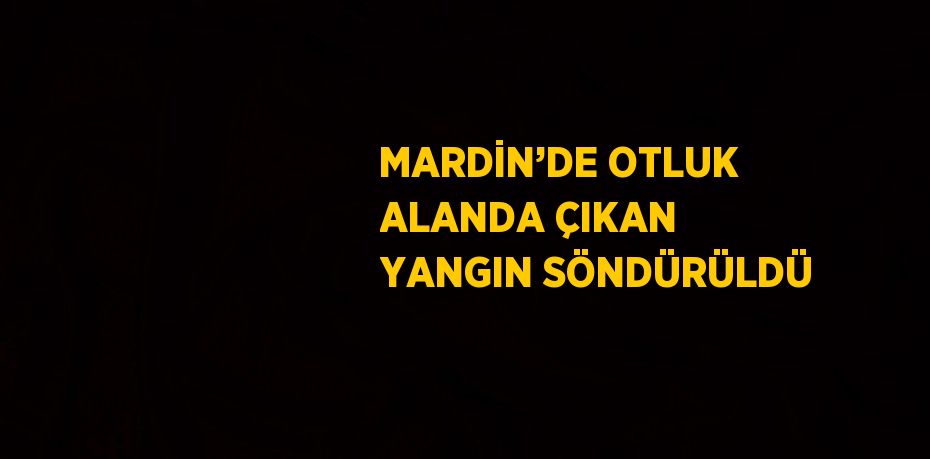 MARDİN’DE OTLUK ALANDA ÇIKAN YANGIN SÖNDÜRÜLDÜ