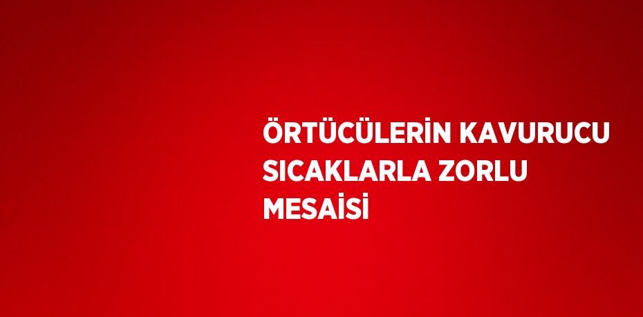 ÖRTÜCÜLERİN KAVURUCU SICAKLARLA ZORLU MESAİSİ