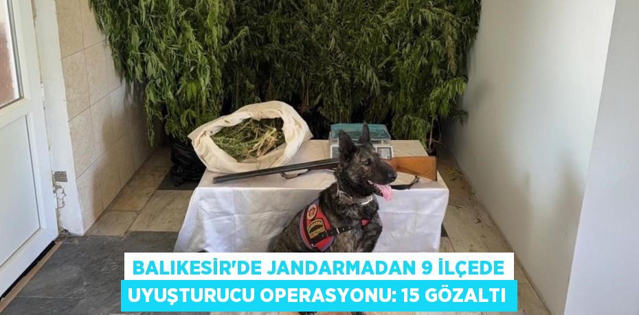 BALIKESİR'DE JANDARMADAN 9 İLÇEDE UYUŞTURUCU OPERASYONU: 15 GÖZALTI