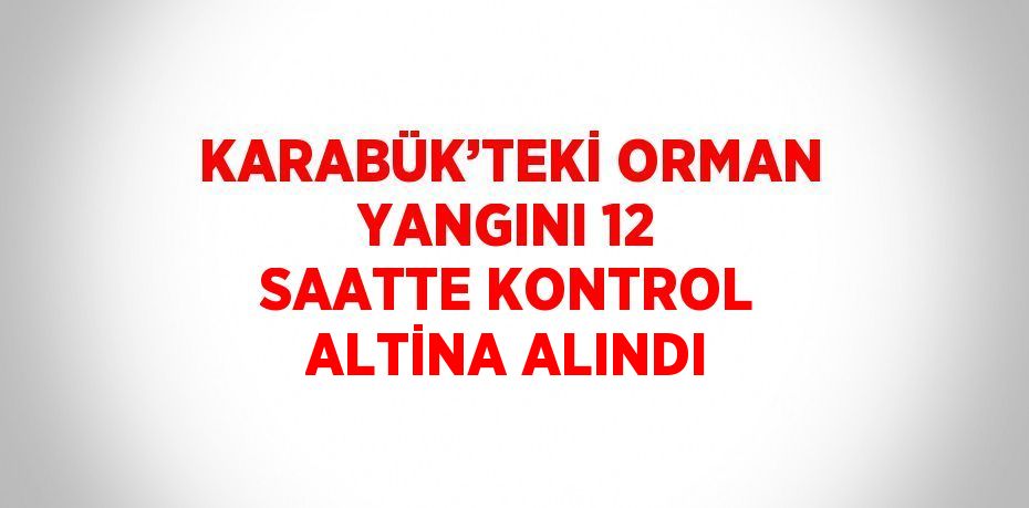 KARABÜK’TEKİ ORMAN YANGINI 12 SAATTE KONTROL ALTİNA ALINDI