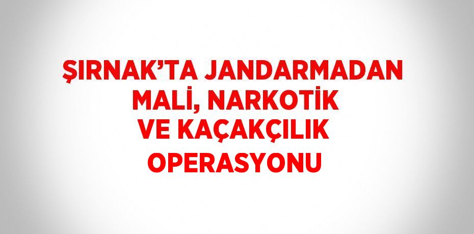 ŞIRNAK’TA JANDARMADAN MALİ, NARKOTİK VE KAÇAKÇILIK OPERASYONU