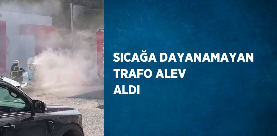 SICAĞA DAYANAMAYAN TRAFO ALEV ALDI