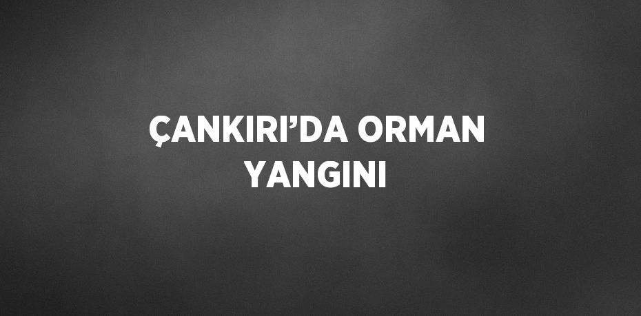 ÇANKIRI’DA ORMAN YANGINI