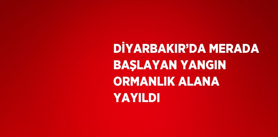 DİYARBAKIR’DA MERADA BAŞLAYAN YANGIN ORMANLIK ALANA YAYILDI