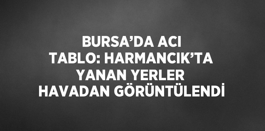 BURSA’DA ACI TABLO: HARMANCIK’TA YANAN YERLER HAVADAN GÖRÜNTÜLENDİ