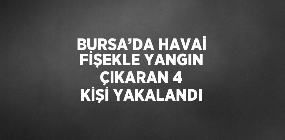 BURSA’DA HAVAİ FİŞEKLE YANGIN ÇIKARAN 4 KİŞİ YAKALANDI