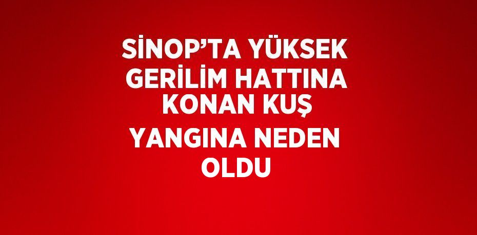 SİNOP’TA YÜKSEK GERİLİM HATTINA KONAN KUŞ YANGINA NEDEN OLDU