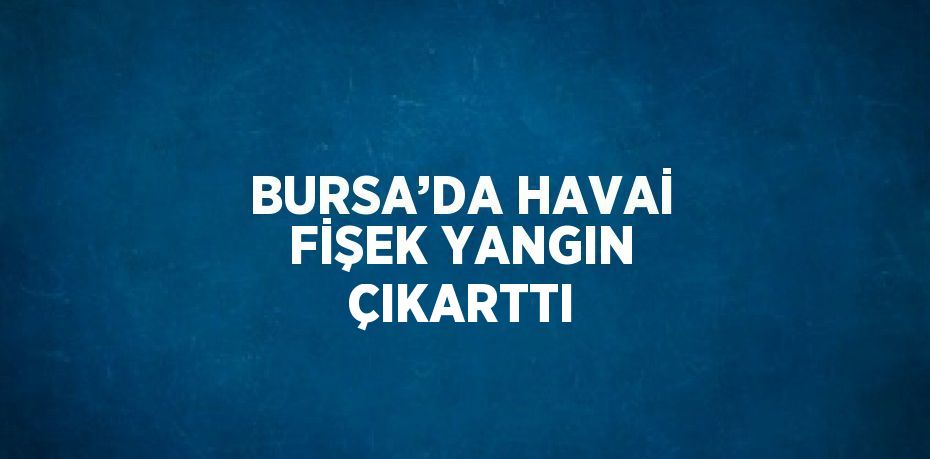 BURSA’DA HAVAİ FİŞEK YANGIN ÇIKARTTI