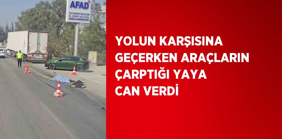 YOLUN KARŞISINA GEÇERKEN ARAÇLARIN ÇARPTIĞI YAYA CAN VERDİ