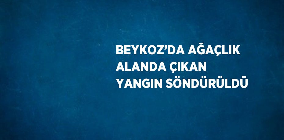 BEYKOZ’DA AĞAÇLIK ALANDA ÇIKAN YANGIN SÖNDÜRÜLDÜ
