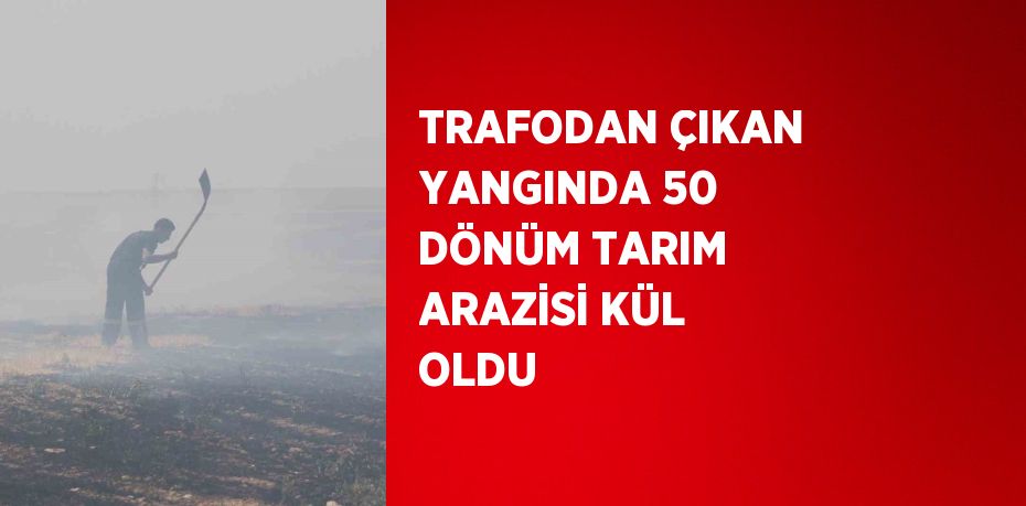 TRAFODAN ÇIKAN YANGINDA 50 DÖNÜM TARIM ARAZİSİ KÜL OLDU