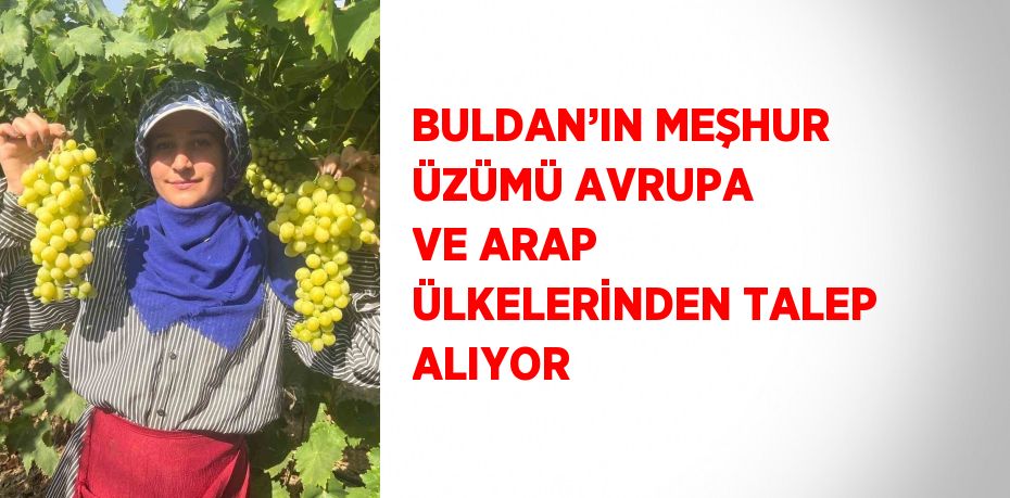 BULDAN’IN MEŞHUR ÜZÜMÜ AVRUPA VE ARAP ÜLKELERİNDEN TALEP ALIYOR